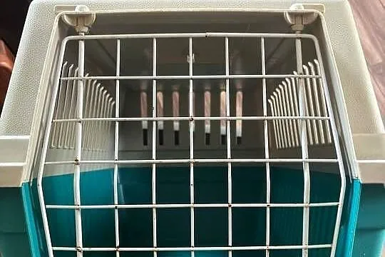 Transporter dla kotów, psów, Łódzkie, Wiśniowa Góra