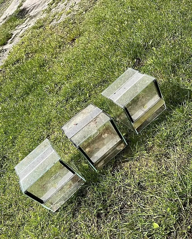 3x Terrarium kostka 15x15x15, gilotyna, mini, Zachodniopomorskie, Nowogard