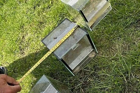 3x Terrarium kostka 15x15x15, gilotyna, mini, Zachodniopomorskie, Nowogard