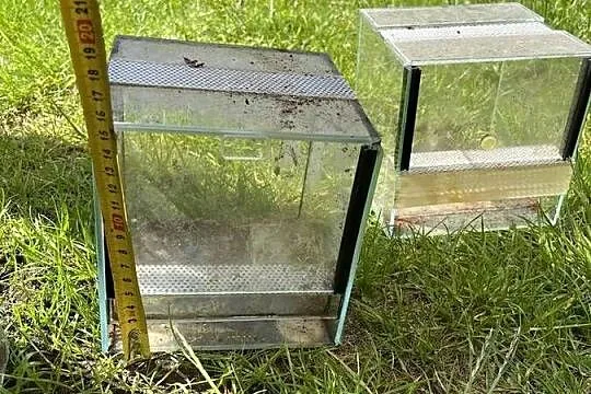 3x Terrarium kostka 15x15x15, gilotyna, mini, Zachodniopomorskie, Nowogard