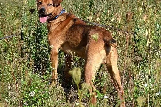 Wojtek - tylko w najlepsze ręce! :)