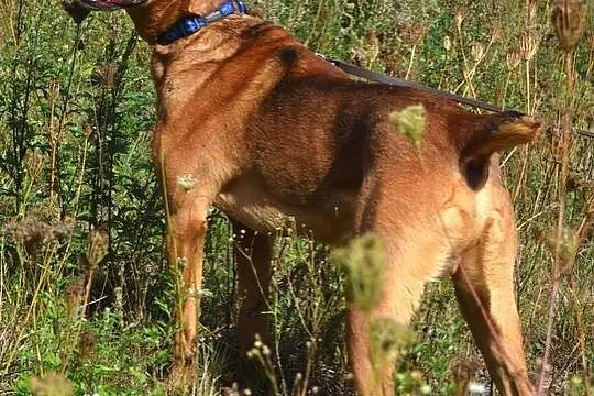 Wojtek - tylko w najlepsze ręce! :)