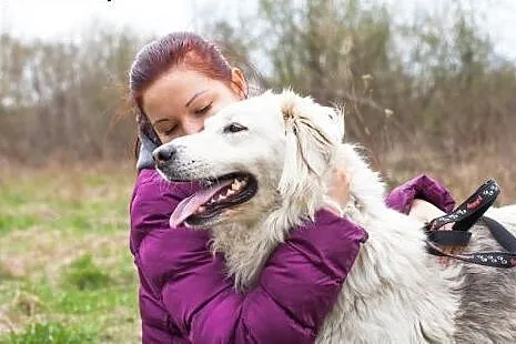 Piękna Bella szuka wyjątkowego i odpowiedzialnego 