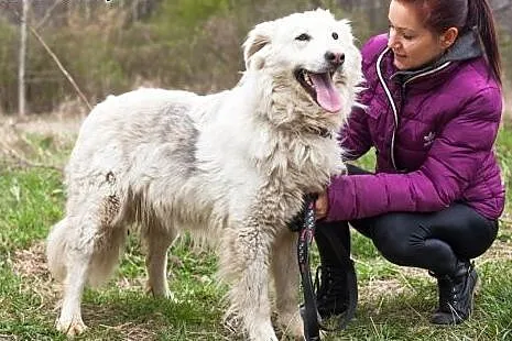 Piękna Bella szuka wyjątkowego i odpowiedzialnego 