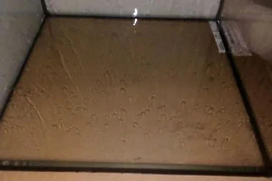 terarium, Mazowieckie, Warszawa