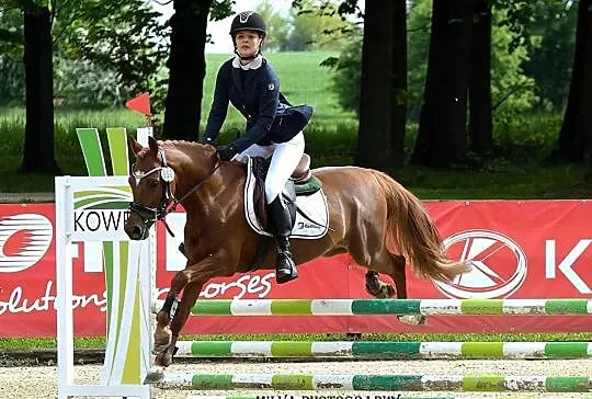 Stanówka KUC po FS DON'T WORRY!!! OCENA WYBITNA, , 