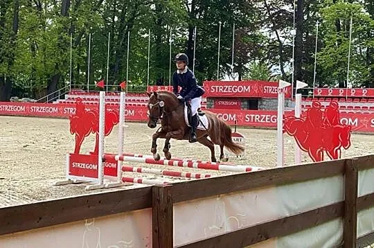 Stanówka KUC po FS DON'T WORRY!!! OCENA WYBITNA, , 