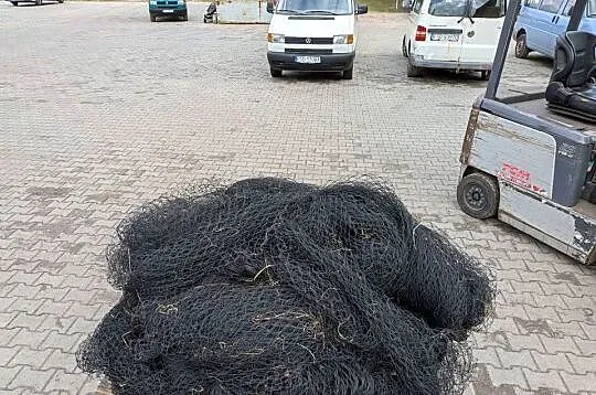 Siatka na ptaki, Lubuskie, Goszczanowiec