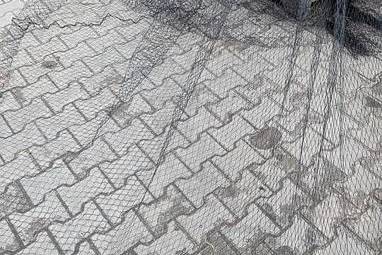 Siatka na ptaki, Lubuskie, Goszczanowiec