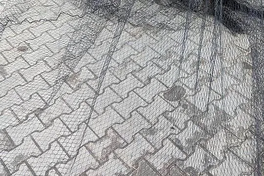Siatka na ptaki, Lubuskie, Goszczanowiec