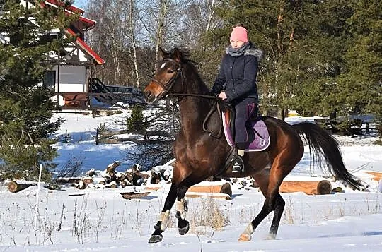 Klacz 6 lat super charakter