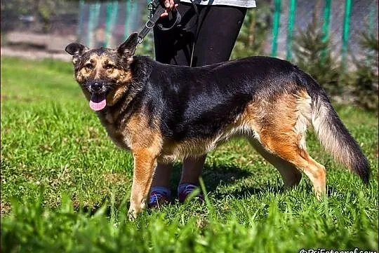 Poczciwa, kochana Frotka :)