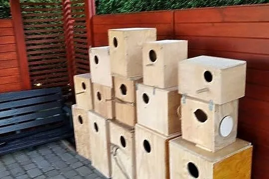 Budki lęgowe dla papug, Śląskie, Świerklany
