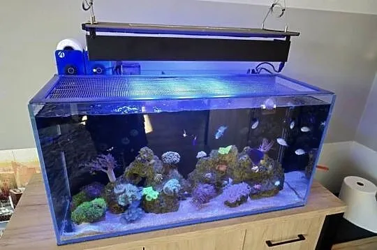 Zestaw do akwarystyki morskiej 250L