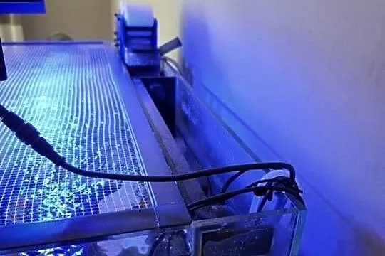 Zestaw do akwarystyki morskiej 250L, Podkarpackie, Przysieki