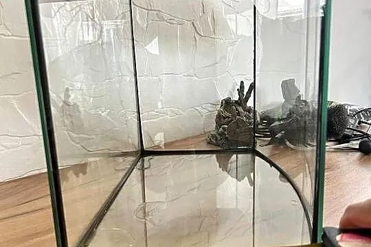 Akwarium z dodatkami okazja, Śląskie, Bodziejowice