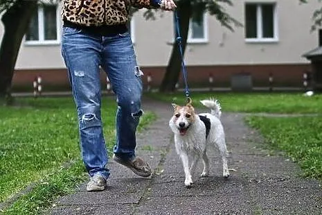 KORA - wdzięk, energia, uroda - ona Ci życia doda!