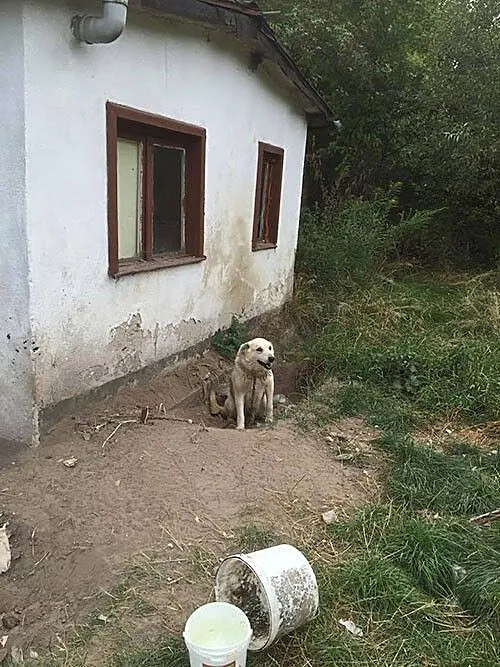 Aron___ Żył pod