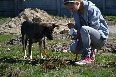 Sonia-uratowana z pijackiej meliny. Dziś ufnie pat