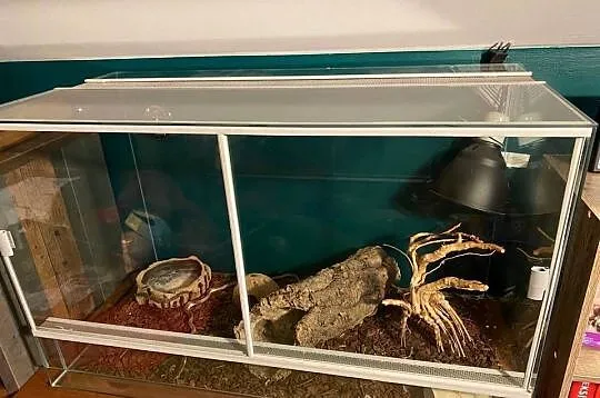 Terrarium z wyposażeniem