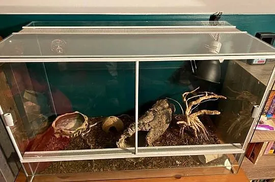 Terrarium z wyposażeniem, Lubelskie, Lublin