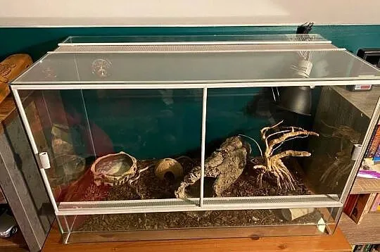 Terrarium z wyposażeniem, Lubelskie, Lublin