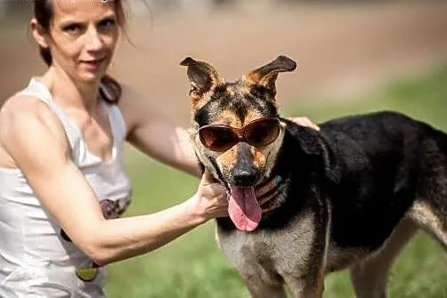 SARA - wodna łobuziara! Adoptuj super inteligentną