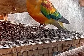 Witam sprzedam
