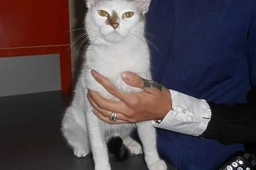Lucyna - ta jedyna,  łódzkie Łódź