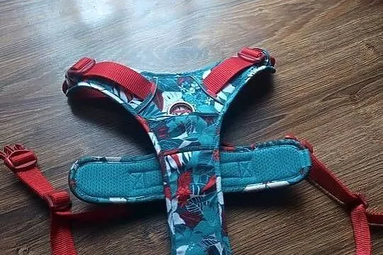 Szelki dla psa Truelove rozm.  XL, Mazowieckie, Konstancin-Jeziorna