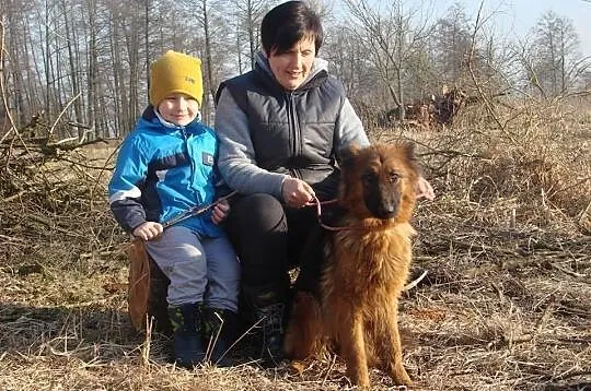 Bona 2 letnia sunia owczarek niemiecki ADOPCJA