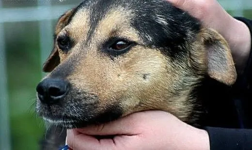 Romek- jestem wesoły Romek!, mazowieckie Nowy Dwó