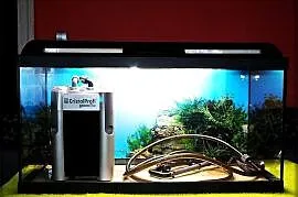 Duże Akwarium 112L+Filtr Zewnętrzny JBL CristalProfi Greenline e702+Gratisy