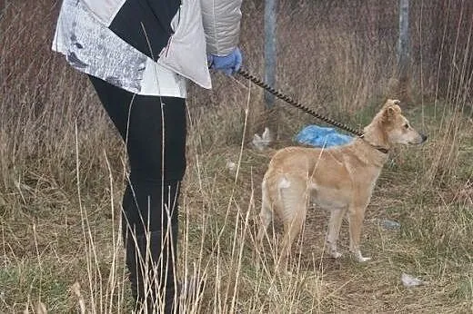Proludzka Kania nie chce być dłużej smutna,  mazow