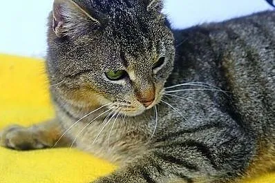 Dorotka wdziek I delikatnosc ,  łódzkie Łódź