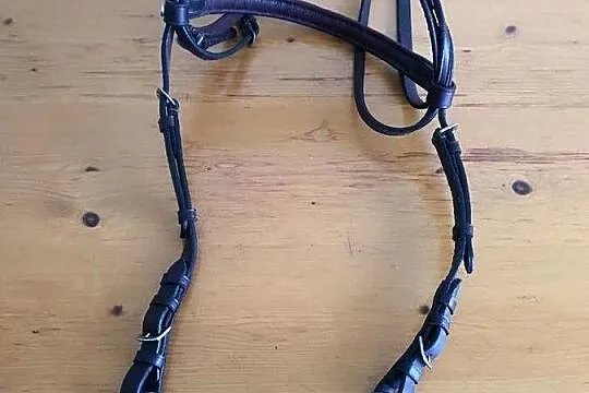 Ogłowie + wędzidło, Lubuskie, Nowa Sól