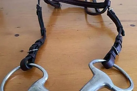 Ogłowie + wędzidło, Lubuskie, Nowa Sól