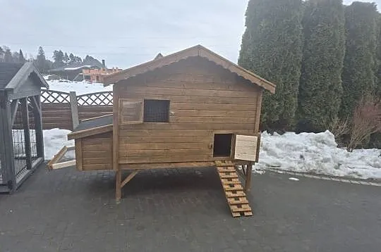 Kurnik dla kur