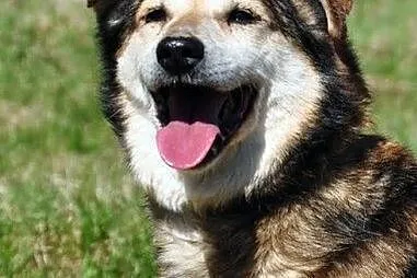 Mazurek :)