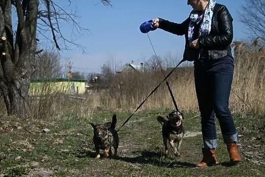 Jadzia i Kapeć ocalone! - SZUKAMY DOMU!