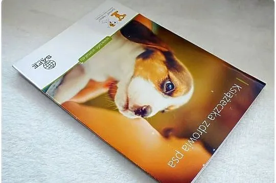 Książeczka Zdrowia dla Psa SAFE-ANIMAL Nowa, Lubuskie, Lubsko