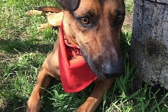 Carmel - tak bardzo pragnę mieć wreszcie swój dome