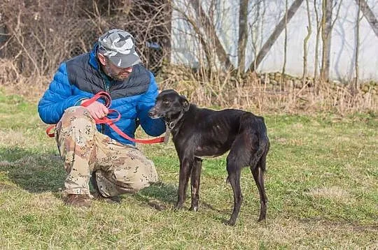 12 miesięczny Mambo odebrany z piekła!