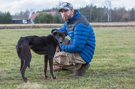 12 miesięczny Mambo odebrany z piekła!
