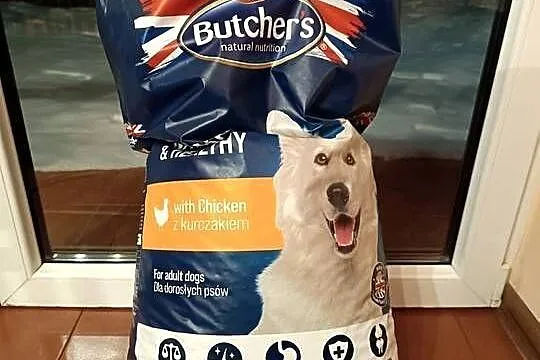 15kg karma sucha Butcher's z kurczakiem. Zabawka GRATIS!