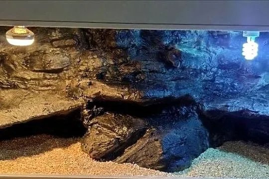 Okazja terrarium dla żółwia greckiego gekona lamparciego