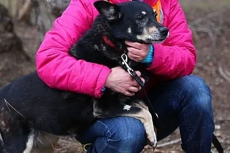 Łagodna i przyjazna Śmieszka chce wprowadzić do tw