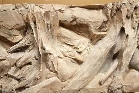 Tło do dużego akwarium 200x46 cm żywica epoksydowa, Lubelskie, Lublin