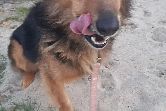 Serek wita Was, na nowy domek nadszedł czas ;)