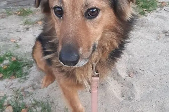 Serek wita Was, na nowy domek nadszedł czas ;), Mazowieckie, Warszawa